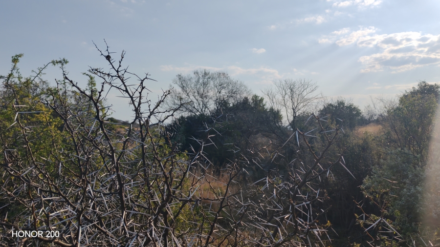 0 Bedroom Property for Sale in Cradock Eastern Cape